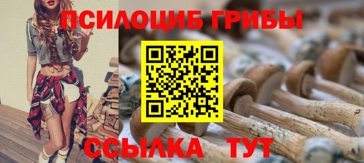 Псилоцибиновые грибы Psilocybe  Вход с VPN  дарнет шоп  Губаха 