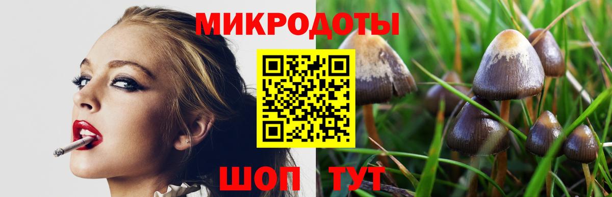 Псилоцибиновые грибы Cubensis Губаха